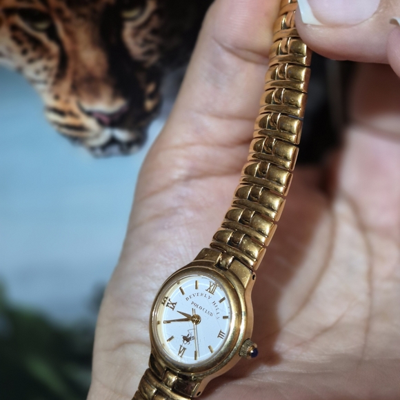 Beverly Hills Polo Club Gold Watch